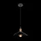 Подвесной светильник Factory Filament LOFT1101 Loft It