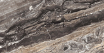 Neodom Luxury Amadeus Polished 80x160