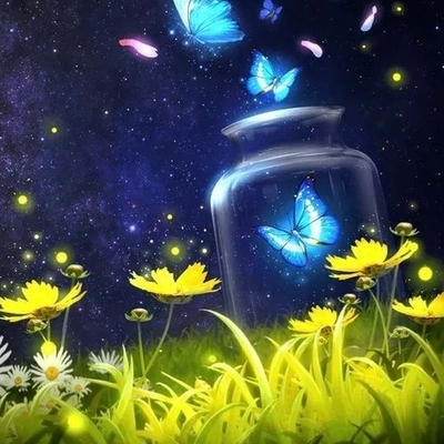 Отдушка Summer Night (Летняя ночь)