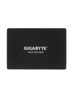 Gigabyte SSD 256GB GP-GSTFS31256GTND {SATA3.0}