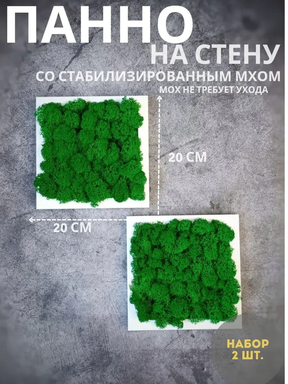 Квадратное панно на стену 20*20 из мха набор 2 шт.