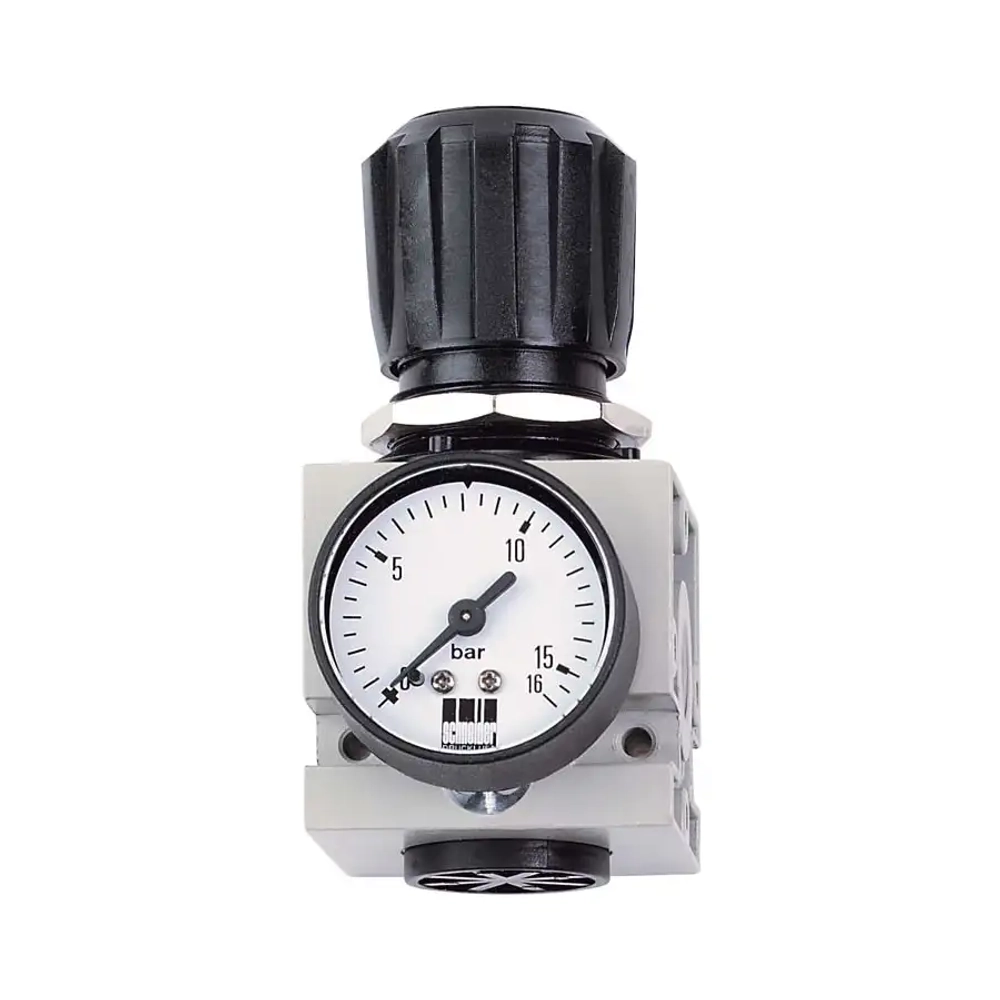 Регулятор давления с манометром DM 1/4 W Schneider airsystems DGKD202002