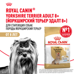 Royal Canin Yorkshire Terrier Adult 8+ Йоркширский Терьер Эдалт Корм сухой для стареющих собак породы Йоркширский Терьер 500г