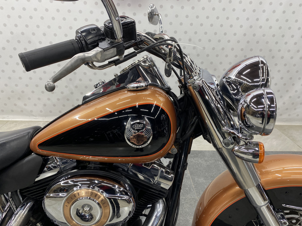 Harley-Davidson Deluxe FLSTN1580 , 2008