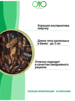 Туркменский таракан консервированный ONTO, 40 г