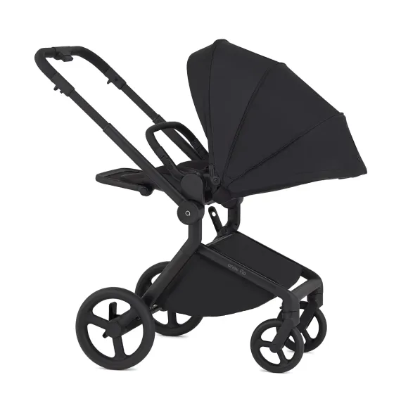 Коляска ANEX Flo 2 в 1 Lungo + Рюкзак-переноска Whiz-Hug
