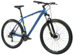 Горный велосипед Welt Raven 1.0 D 29 (2024)