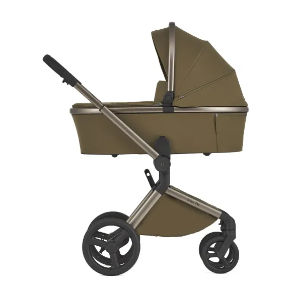 Коляска ANEX Flo 2 в 1 Astra