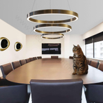 Pendant design lamp  Light Ring by HENGENG  D80