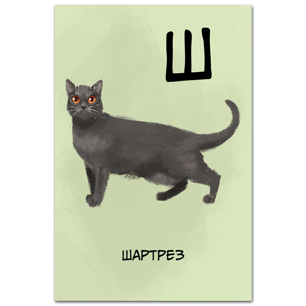 Шартрез (Картезианская кошка)