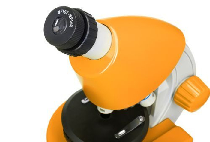 Микроскоп Levenhuk Discovery Micro Solar с книгой