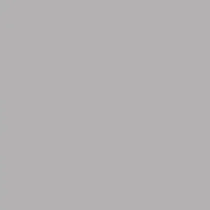 Фон бумажный Falcon Eyes BackDrop PRO 2.72x11 Pursuit Grey (21)