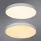 Потолочный светильник Arena A2671PL-1WH Arte Lamp