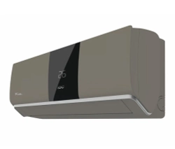 IGC RAS-V09RTF