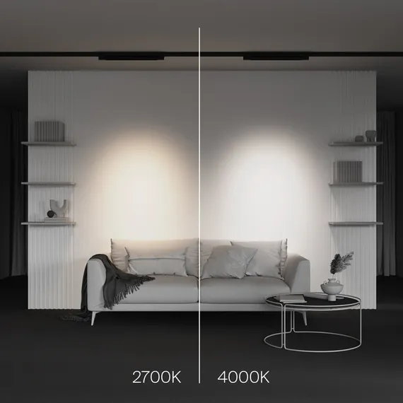 Трековый светильник Points TR195-3-20W2.7K-M-B Maytoni