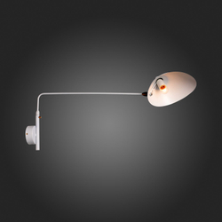 Светильник настенный ST Luce Spruzzo SL305.501.01