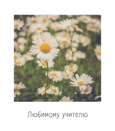 Открытка учителю № 4