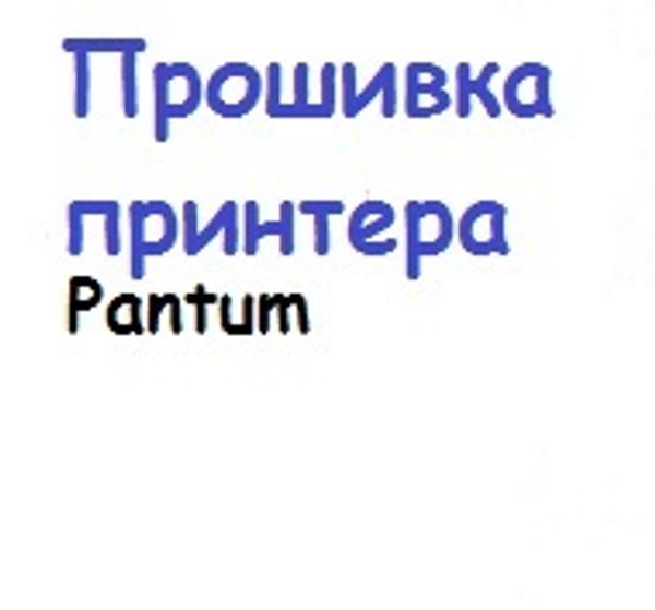 Прошивка принтера МФУ Pantum в Омске Прошивка принтера МФУ Pantum в Омске
