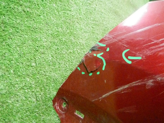 DSCN7529.JPG