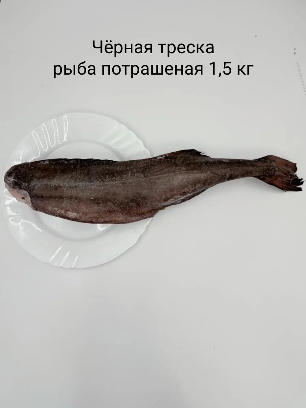 Угольная рыба (чёрная треска) без головы 1,5 кг