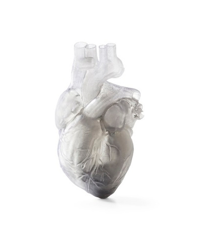 3D принтер Formlabs Form 1+