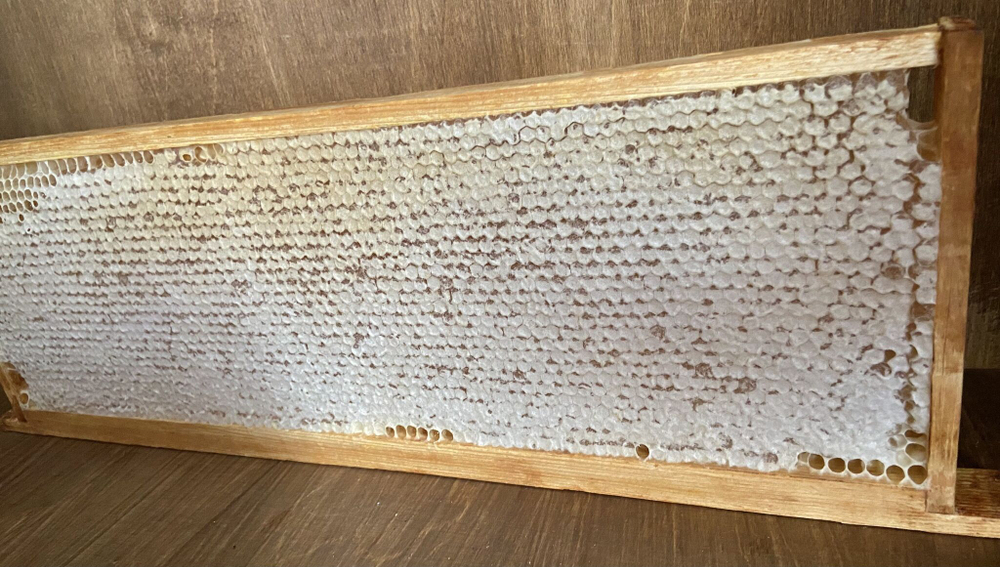 Мёд в сотах светлый