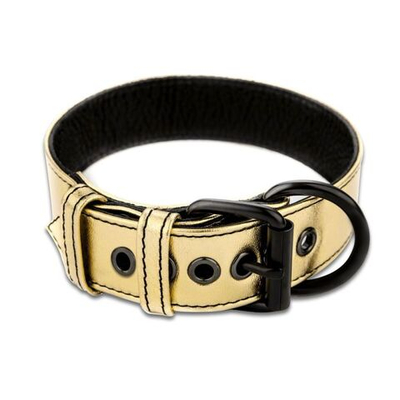 Ошейник "Metallic Pup" с поводком (по цветам) (золотой)