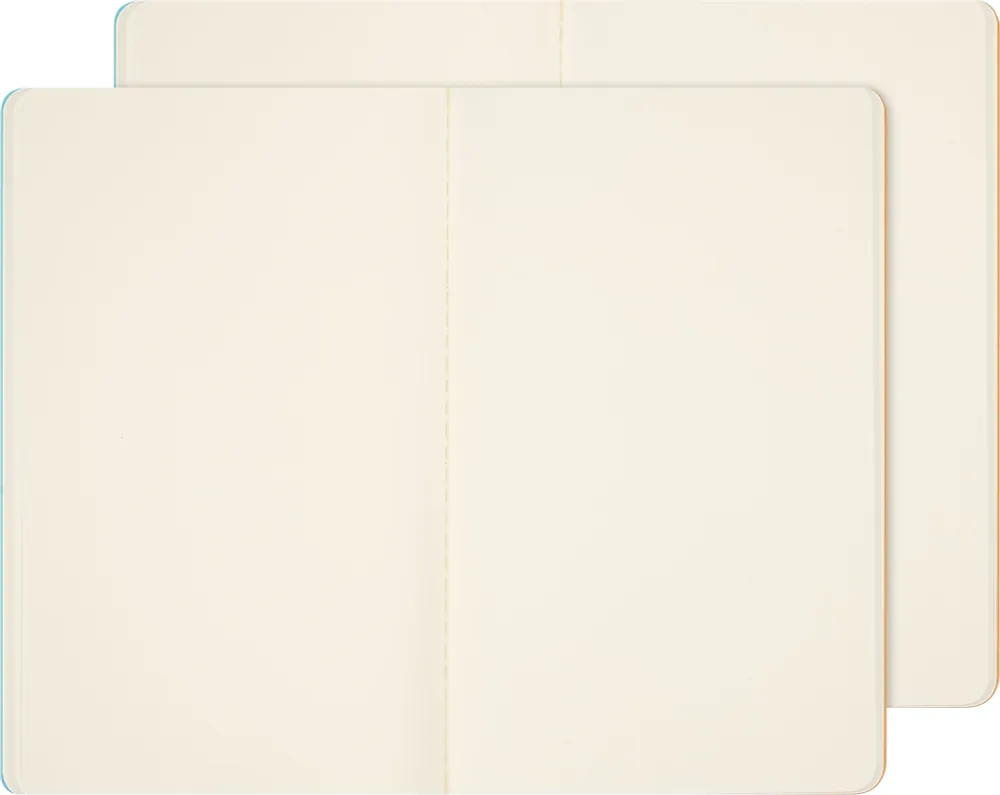 Блокнот Moleskine LE CAHIER MUSEE D`ORSAY Large (SKCAHL6911S3NL) 2