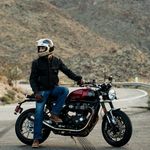 Gringo SV / Черно-коричневый
