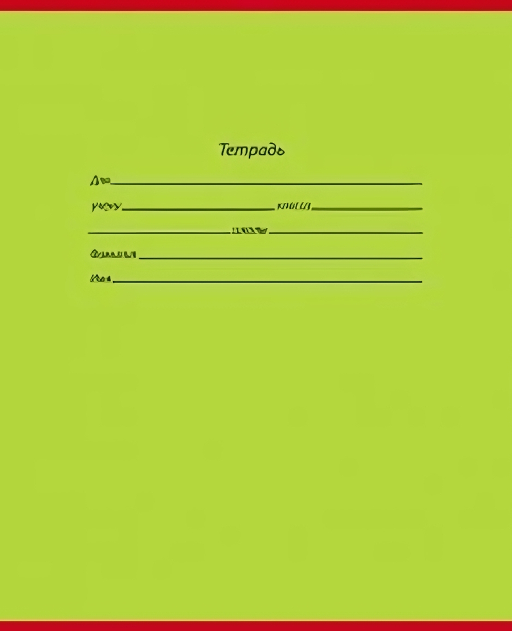 Тетрадь доп. кос. лин. 12л. ШКОЛЬНАЯ КЛАССИКА (12-9270) (Проф-Пресс)