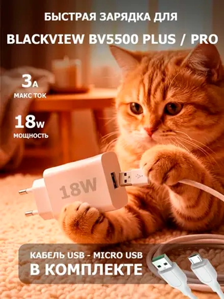 Зарядка для телефона Blackview BV5500 Pro