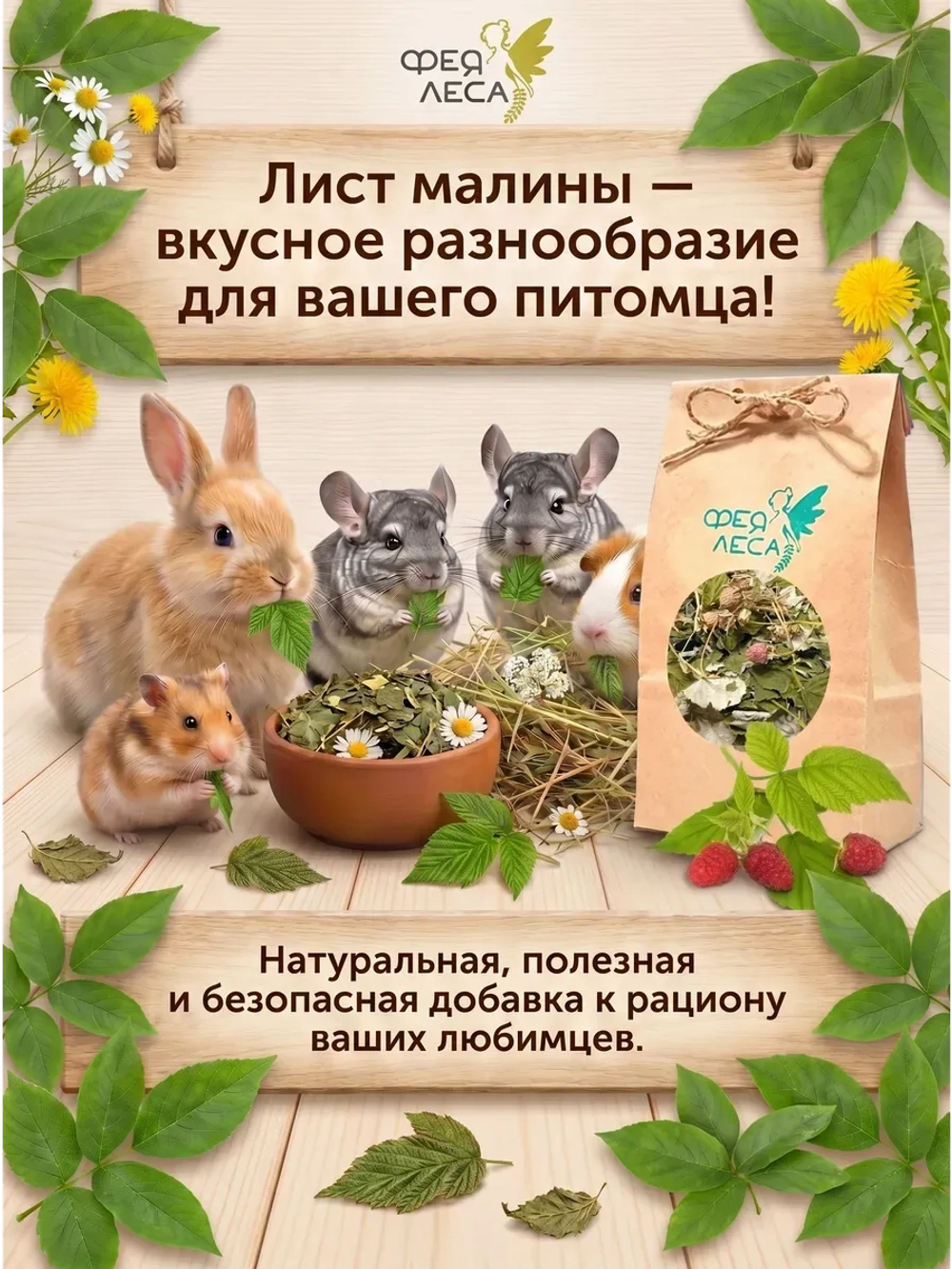 Малина лист лесной целый для чая и здоровья