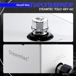 Steamtec TOLO KEY 60 - 6 кВт (стандартный модуль управления), парогенератор для хамама и турецкой бани