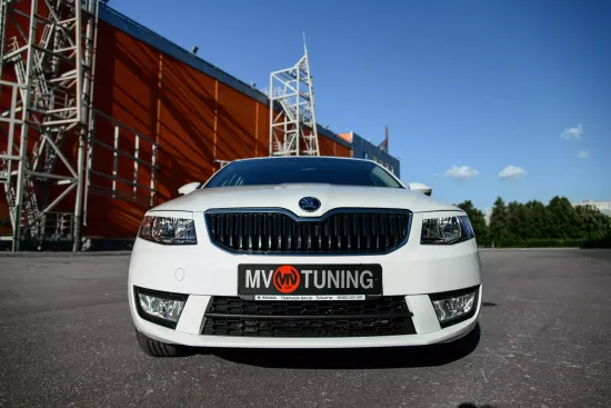 Реснички на фары для Skoda Octavia III A7