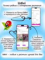 Живучка Френдс Фенси Финч Пёрышки чудесного Зяблика