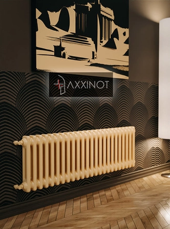 Axxinot Sentir 2030 - двухтрубный трубчатый радиатор высотой 300 мм, боковое подключение, палитра RAL