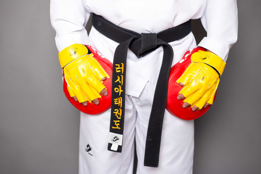 Лапа тренерская ProfSport для Тхэквондо