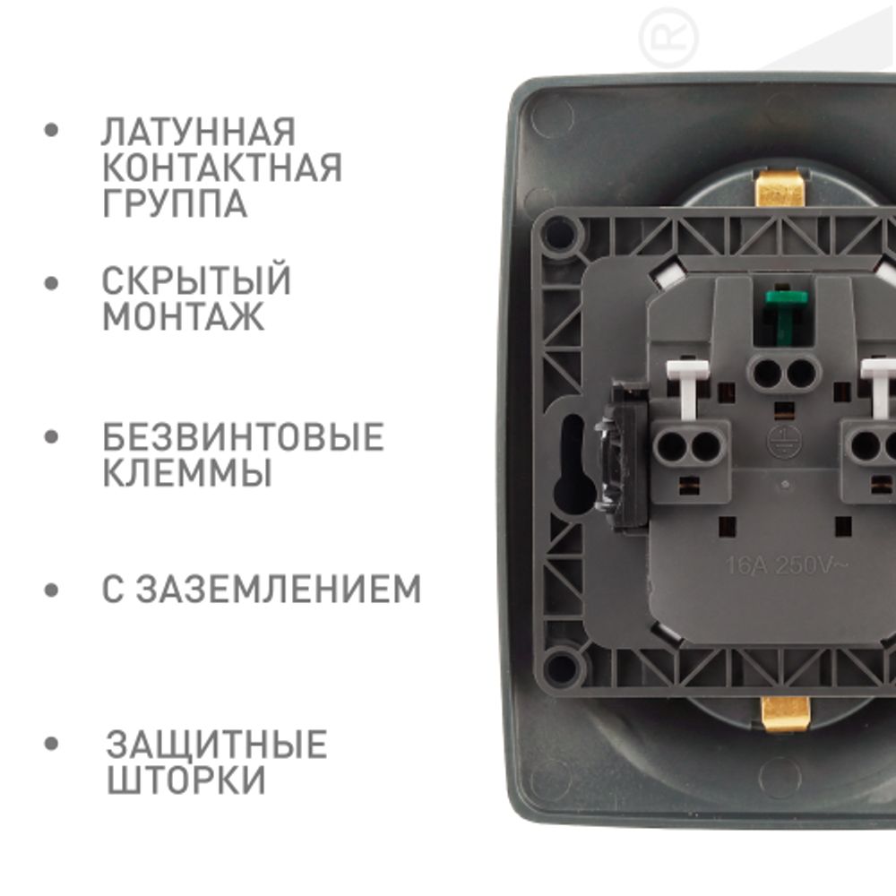 Розетка ЭРА Серия 12 12-2108-12 2X2P+E Schuko со шторками 16A-250В IP20 графит | Эра 12