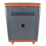 Генератор бензиновый EVOline QB 12000 E