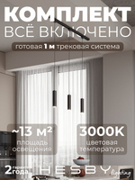 Комплект трековый Hesby Lighting Skylite No12 HSBL_kompl_S012_NI1B3K