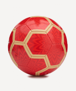 Мяч футбольный Flagball Firebird №5