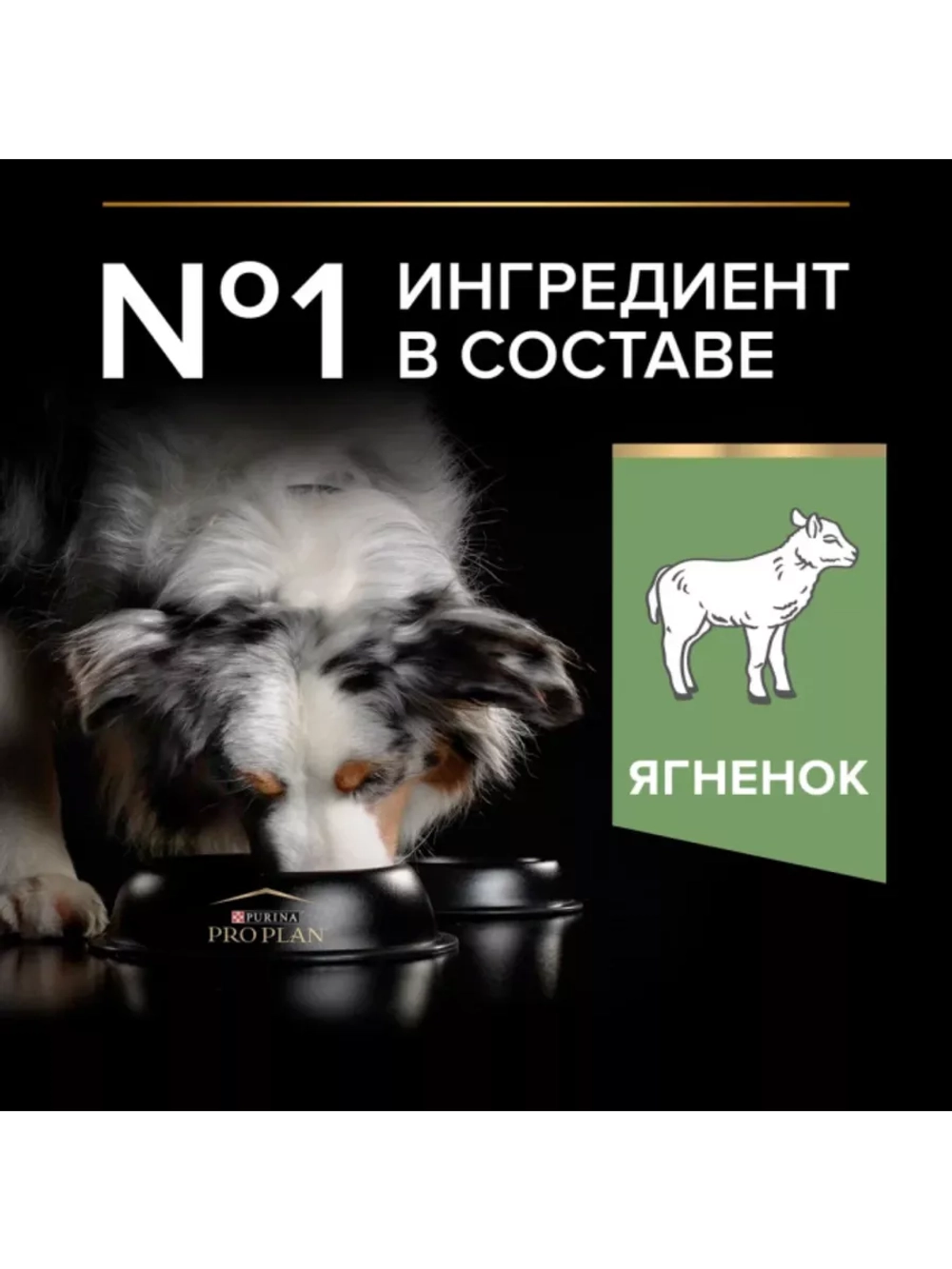Корм для собак Ягненок 3кг