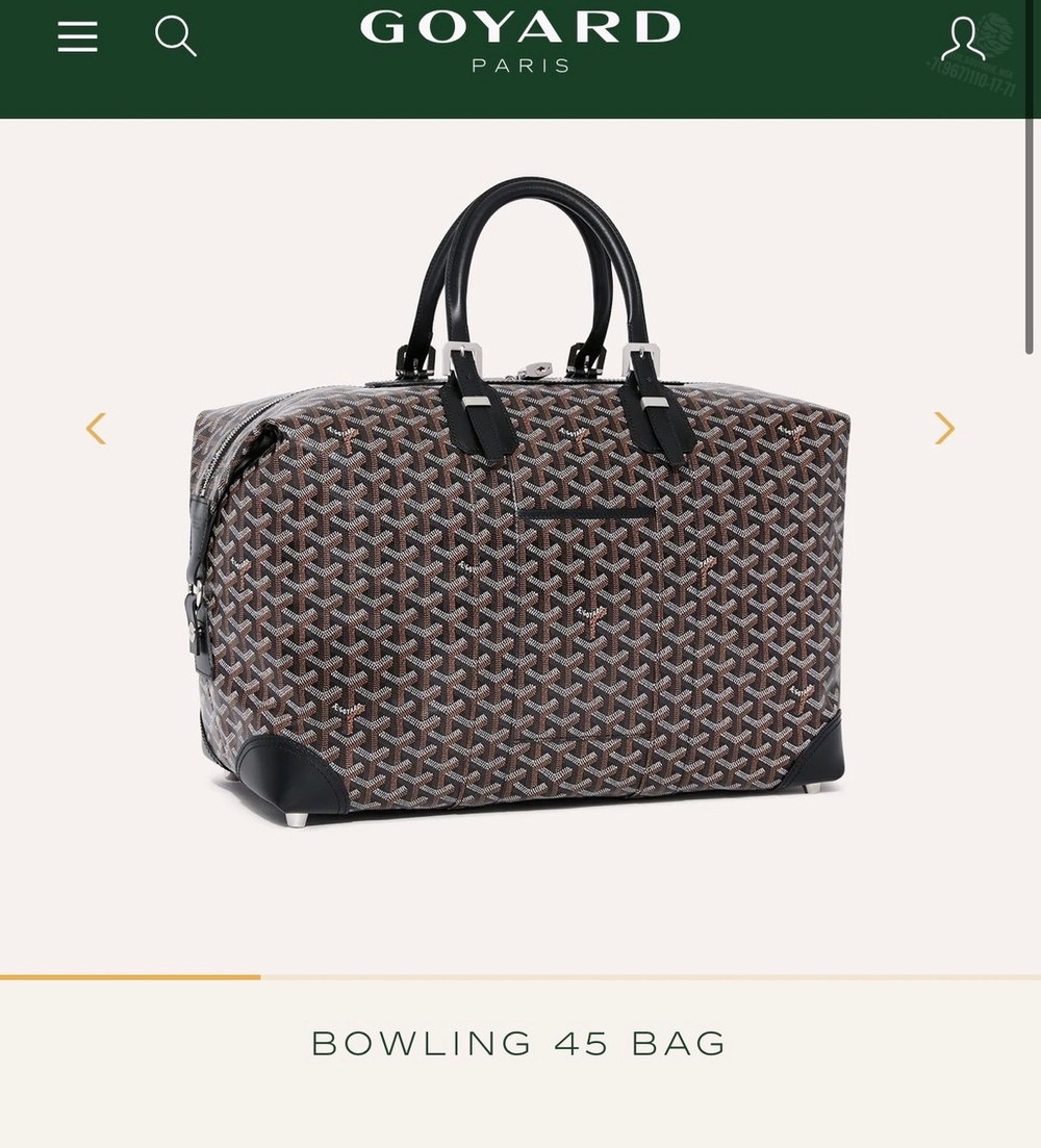 Дорожная сумка Goyard