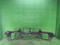 DSCN6237.JPG