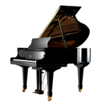 Weber Professional Grand W150