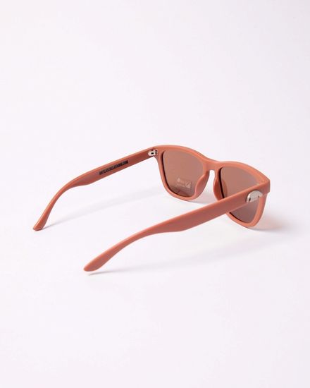 Очки Anteater Agent Brown Matte