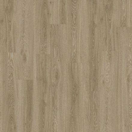 Moduleo Next Acoustic Vista Oak 450