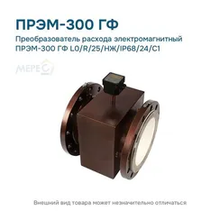 Преобразователь расхода электромагнитный ПРЭМ-300 ГФ L0/R/25/НЖ/IP68/24/C1