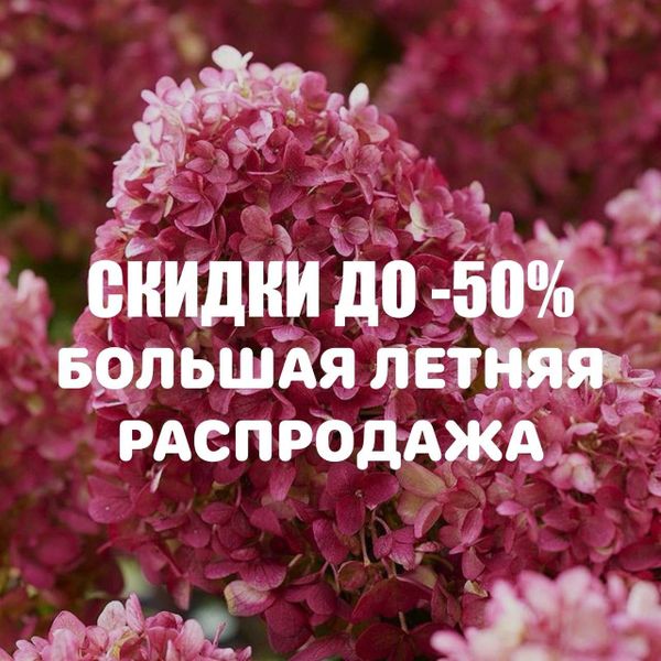 Большая летняя распродажа с 1 августа ☀️ Большая летняя распродажа с 1 августа ☀️