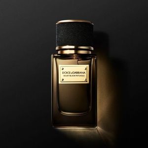 Dolce and Gabbana Velvet Black Patchouli